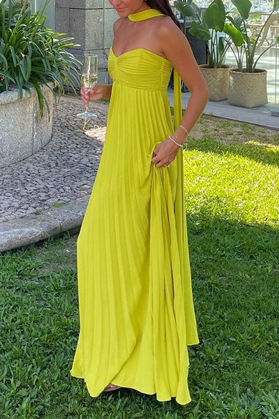 MONTPELLIER – Strapless Maxi Dress – 1750