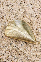 TAORMINA – Glitter Oyster Clutch – 8380