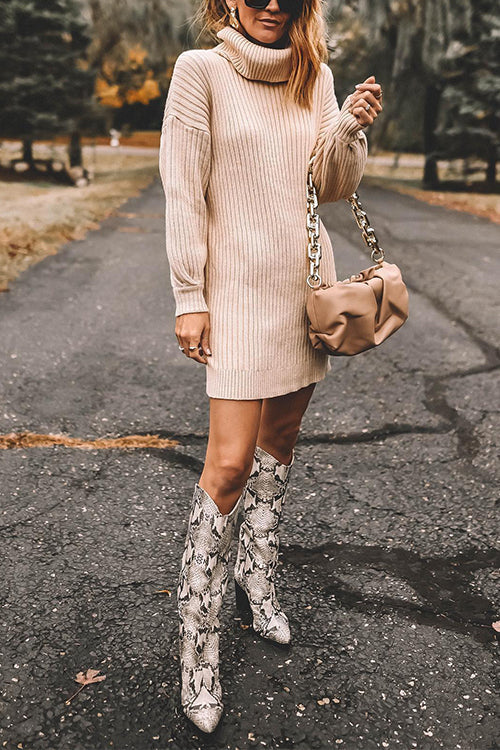 ANTWERP – Ribbed Sweater Dress – 9471