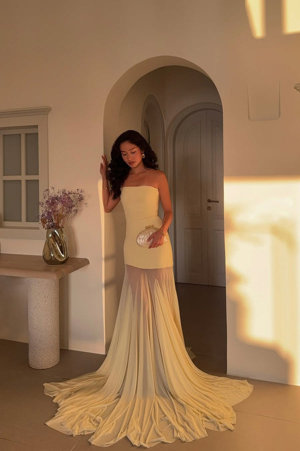 MONACO – Strapless Maxi Dress – 2384